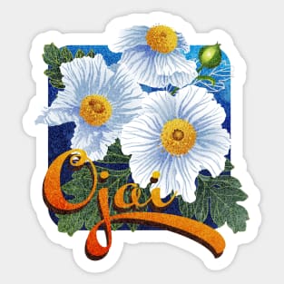 Ojai Matilija Poppies Sticker